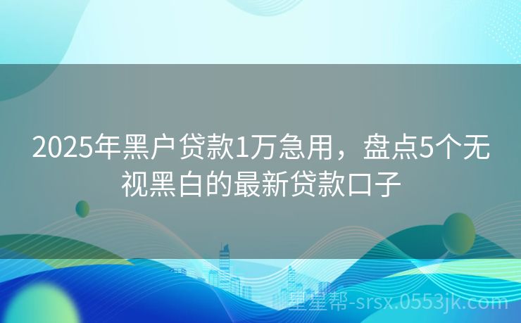 最新网黑贷款口子解析