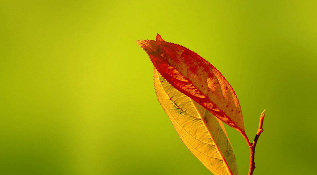 联投花山郡最新消息——未来城市生活的崭新篇章