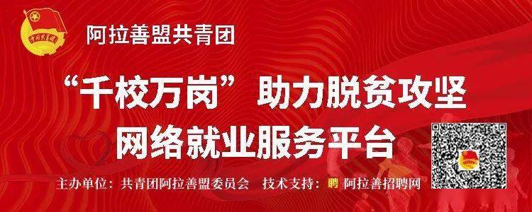 阿拉善招聘网最新招聘动态深度解析