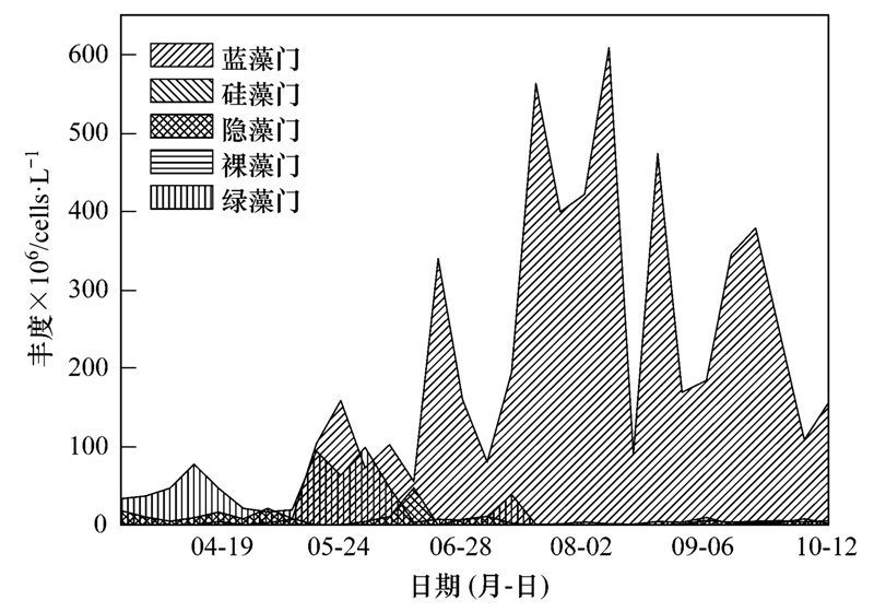 青岛庞巴迪最新招聘动态及其影响